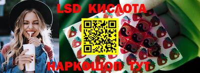 стаф Кунгур