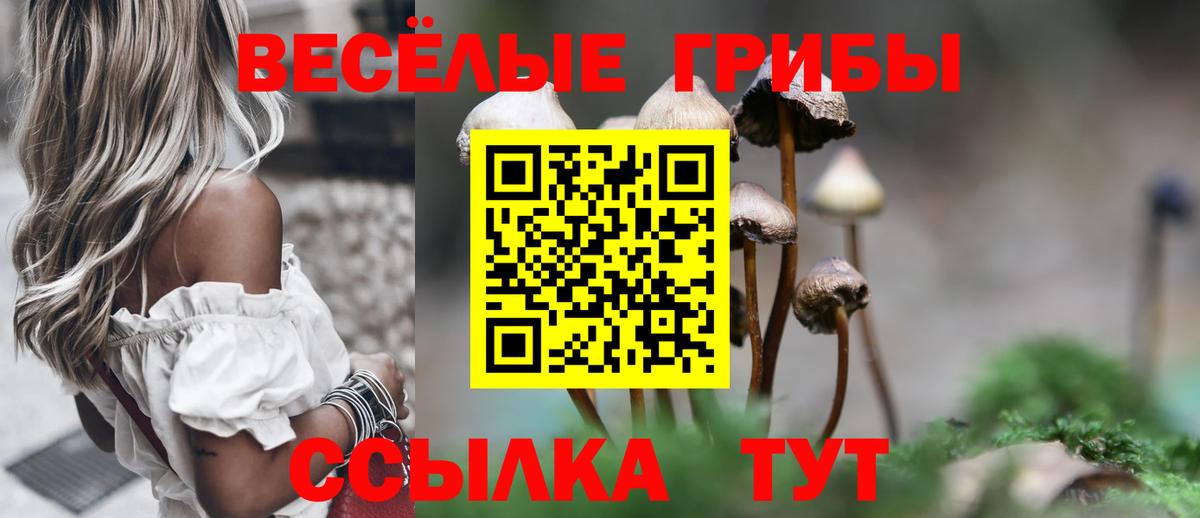 сколько стоит  Вход с VPN  Кировск  Псилоцибиновые грибы мицелий 